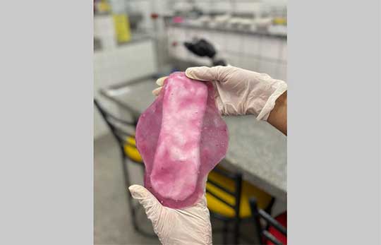 Absorvente biodegradável desenvolvido por estudantes de Araci usa folhas de amoreira para aliviar cólicas menstruais