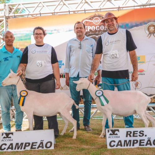 Com recorde de público, EXPOCOITÉ 2025 atrai negócios, inovação e alegria