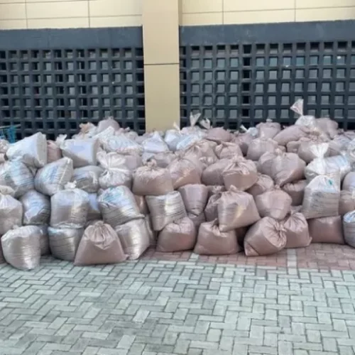 PF incinera cerca de oito toneladas de pó da “jurema negra” apreendido em Coité