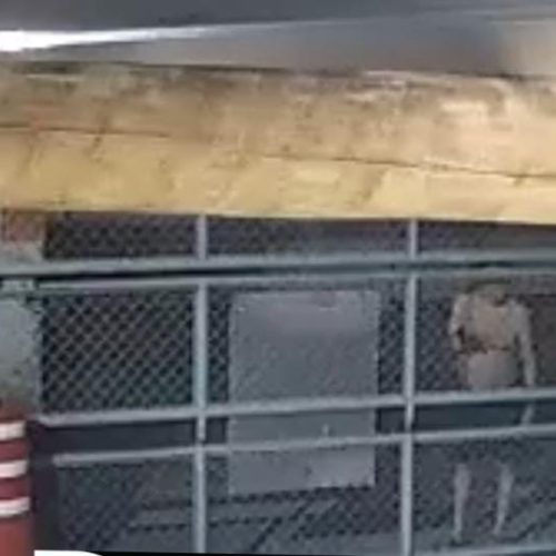Vídeo: Advogado de 85 anos tem  suposto surto,  tenta invadir base do Águia Resgate e ameaça socorristas com revólver em Conceição do Coité
