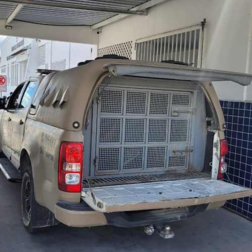 Suspeito de furto é linchado por populares no centro de Conceição do Coité