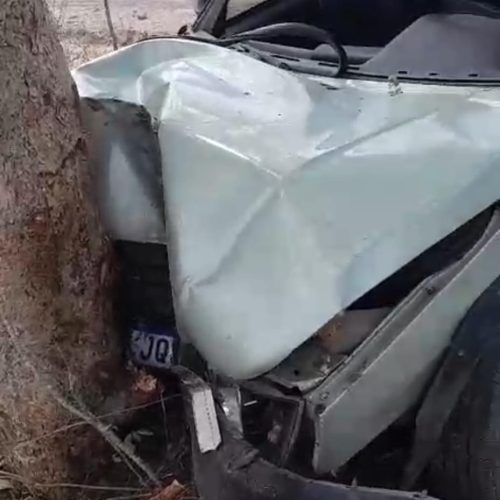 Vídeo: Irmão do vereador de Barrocas bate carro contra árvore enquanto família se deslocava para cerimônia de posse do edil; ninguém ficou ferido