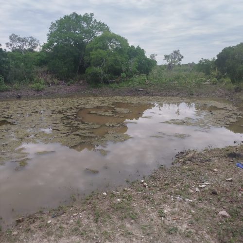 Homem é encontrado morto em tanque no distrito de Bandiaçu em Conceição do Coité
