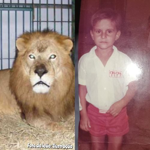 Relembre tragédia com leão que matou menino de 7 anos  em circo na década de 90 em Conceição do Coité