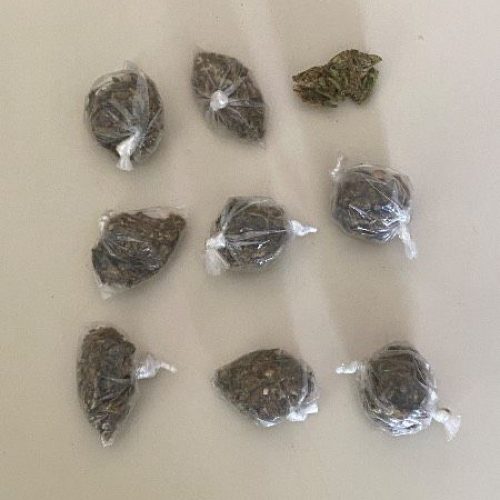 Abordagem em povoado rural resulta em apreensão de droga e veículos irregulares em Conceição do Coité