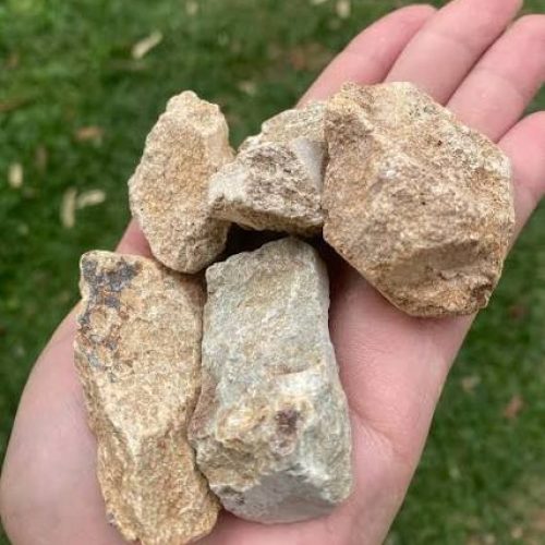 Ichu: Idoso de 77 anos é atingido acidentalmente por pedrada enquanto passava por rua onde duas mulheres brigavam